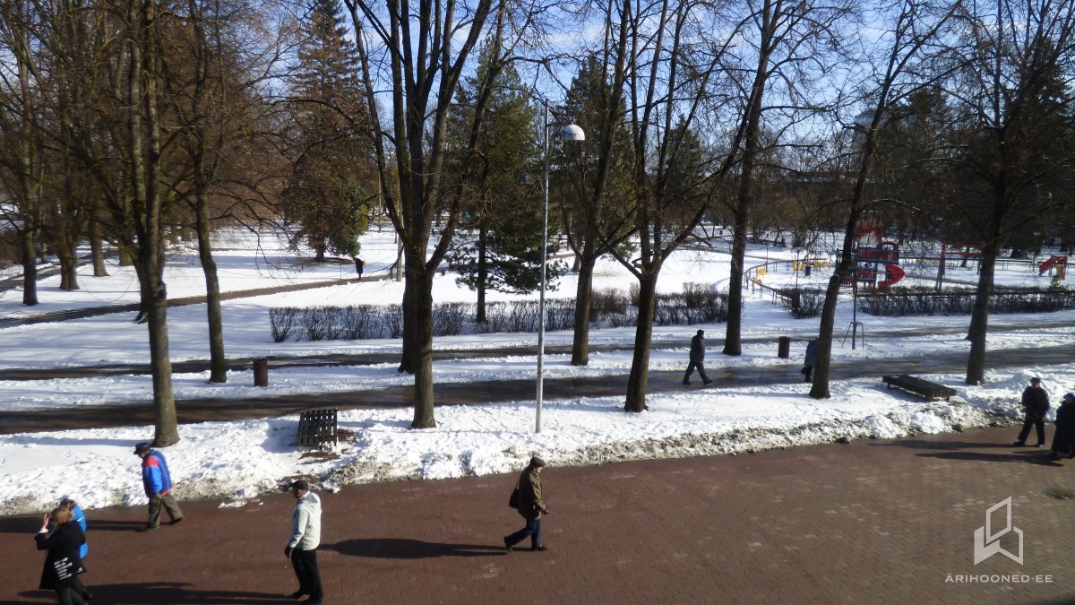 Pakkumine 175 - pilt 2