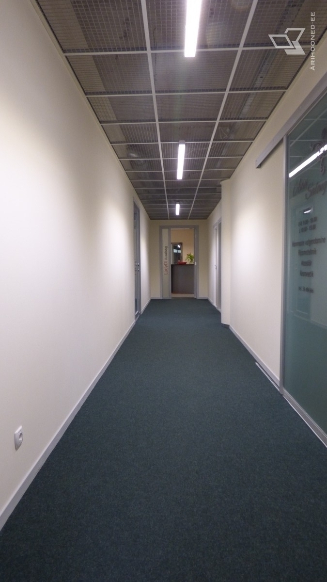 Pakkumine 175 - pilt 8