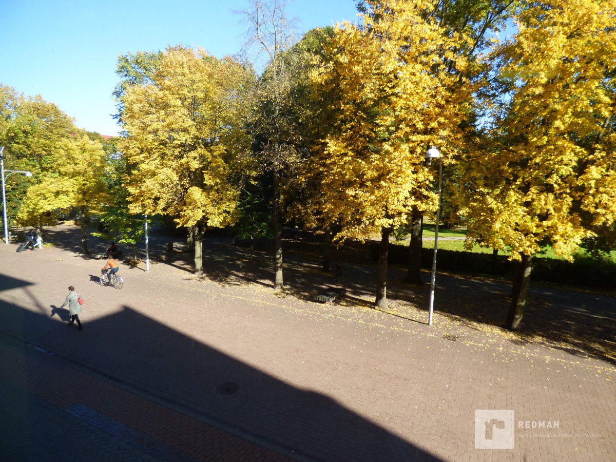 Pakkumine 680 - pilt 8