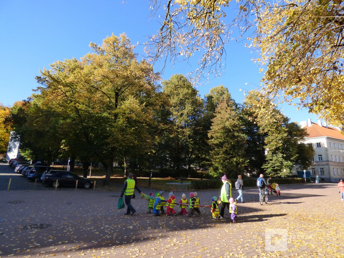 Pakkumine 680 - pilt 10