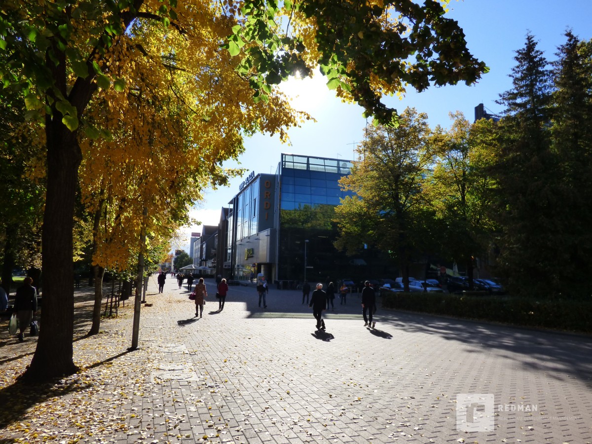 Pakkumine 681 - pilt 6