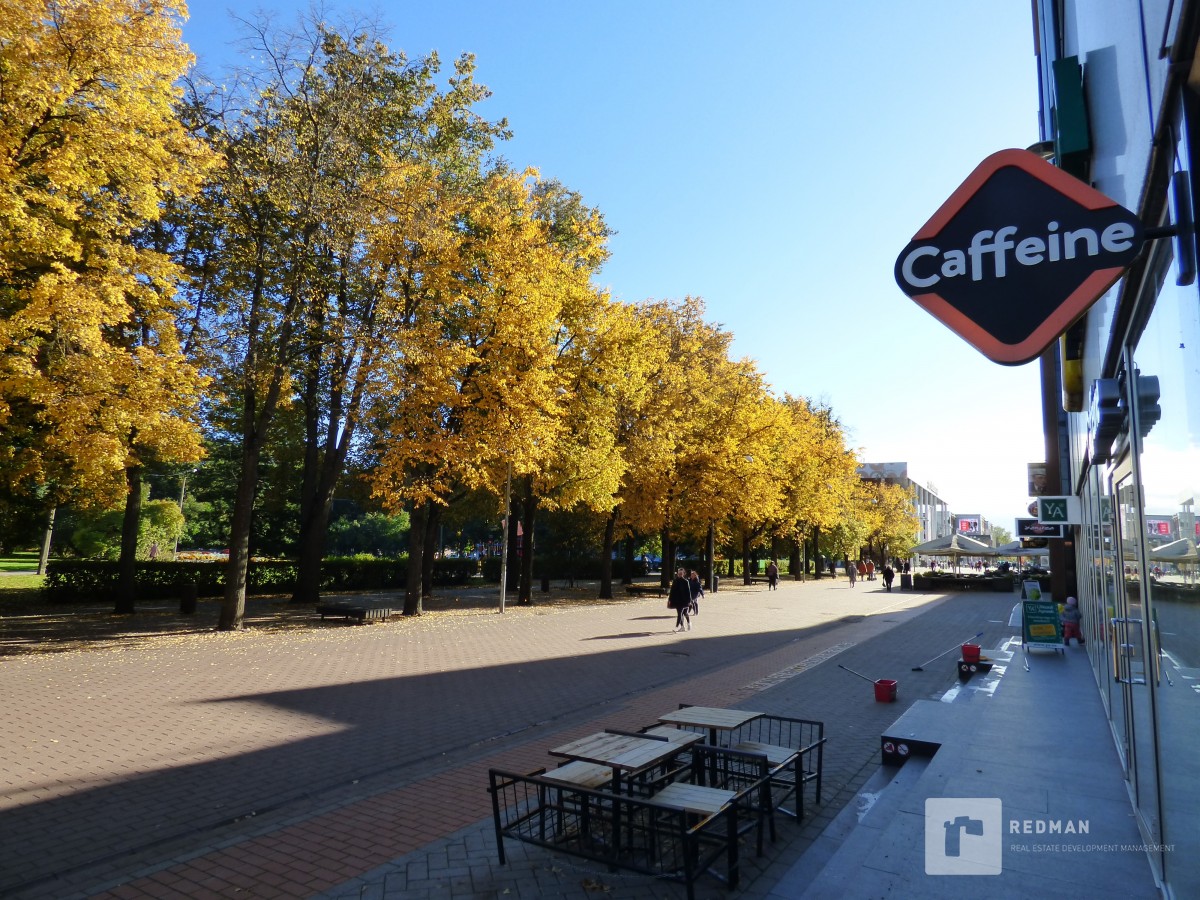 Pakkumine 681 - pilt 7