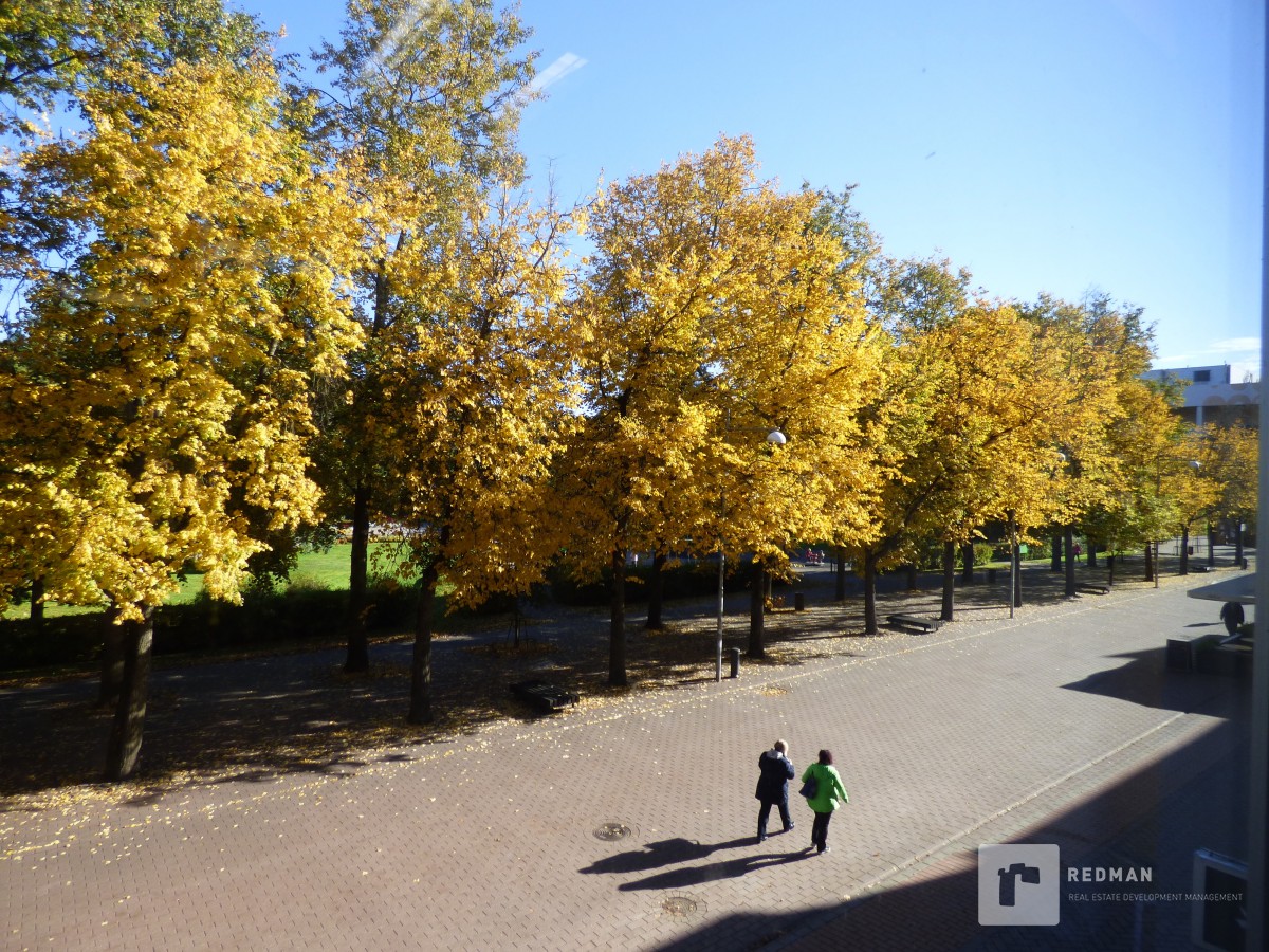 Pakkumine 681 - pilt 9